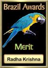 Brazil Merit Award