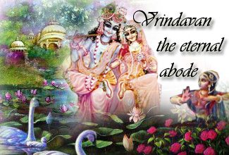 Exotic Vrindavan