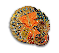 krishna dress colour