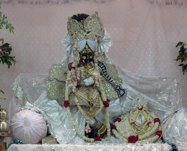 Sharad Poornima Celebration