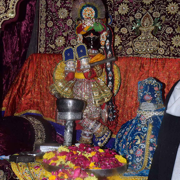 Festival di Khichadi Shri Radhavallabh Lal Darshan