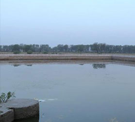 Lagoa bonita e verdes exuberantes de Maansarovar