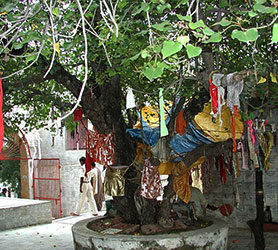 Templo Mahavan de Nandgaon