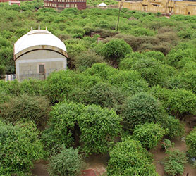 Nidhiwan in Vrindavan