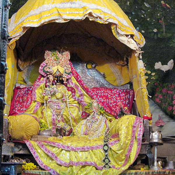 Basant Panchami Darshan of Radhavallabh Temple