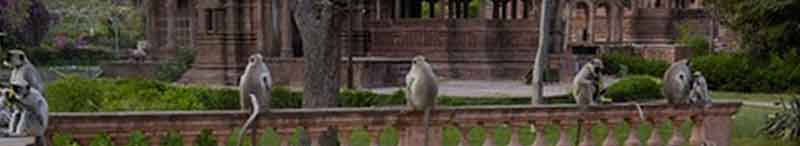 La Gloria de Vrindavan lugar divino de la Naturaleza