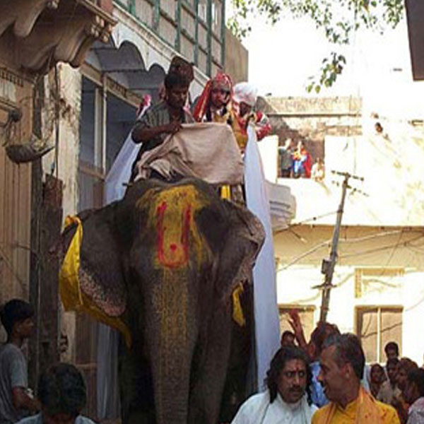 Radhavallabh Lal Managala Darshan during Hithotsava