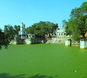 Barsana的Pili Pokhar Kund