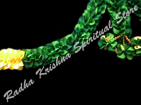 <p>
	Evergreen lush-toran-bandanwar</p>