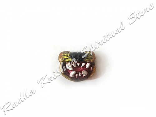 Narsingh Mukha Salagram Shila Ornament