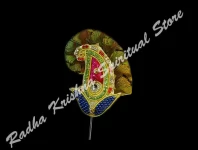 Artistic Paisley Crown Feather Insert