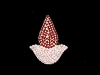 Heilige Padmavati Mata Tilak Smear