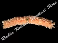 Peach Flor suave de la Decoracin del pelo de Veni Gajra