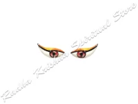 Mandarinenfarben Kataksha Salagram Shila Gottes Augen