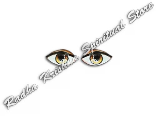 Avellana marrón Salagram Shila Dios Ojos