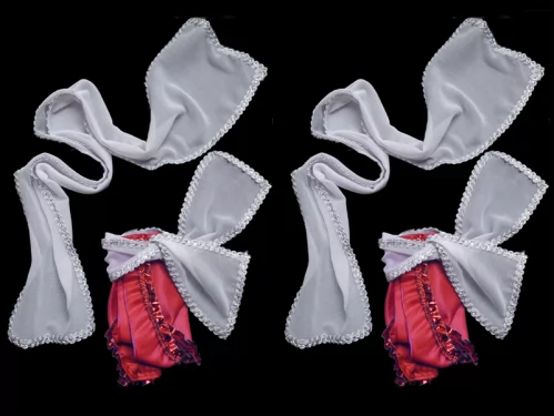 Natkhat Gaur Nitai Daily Wear Dress