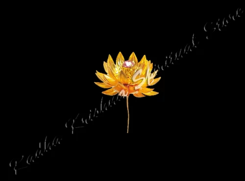 Shree Mahalaxmi Kamal plateado flor de loto de oro