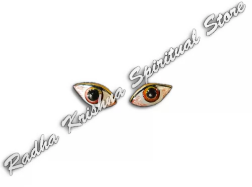 Ugra Narsimha Salagram Shila Dios Ojos