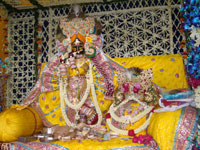 Radhashtami Shringaar Darshan